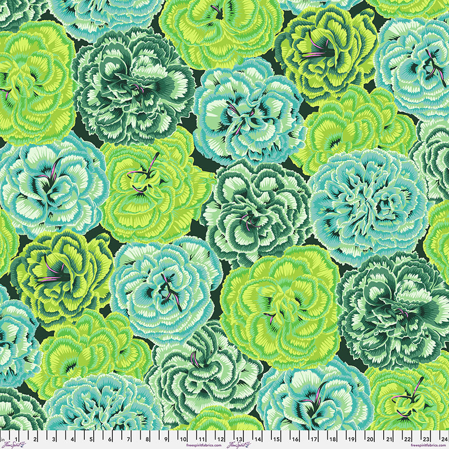 August 2025 - Picotee Carnations - Green