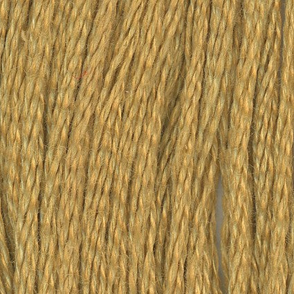 Dark Yellow Beige - 6 ply