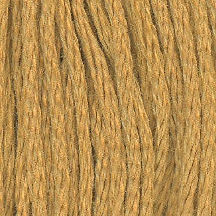 Medium Hazelnut Brown