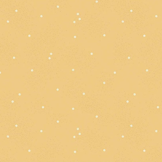 Dainty Daisy - Honey