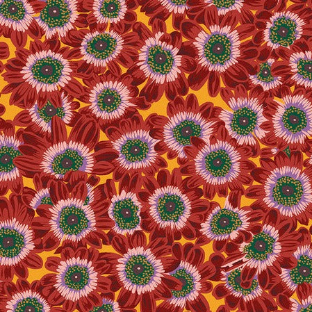 February 2023 - Lucy - Maroon