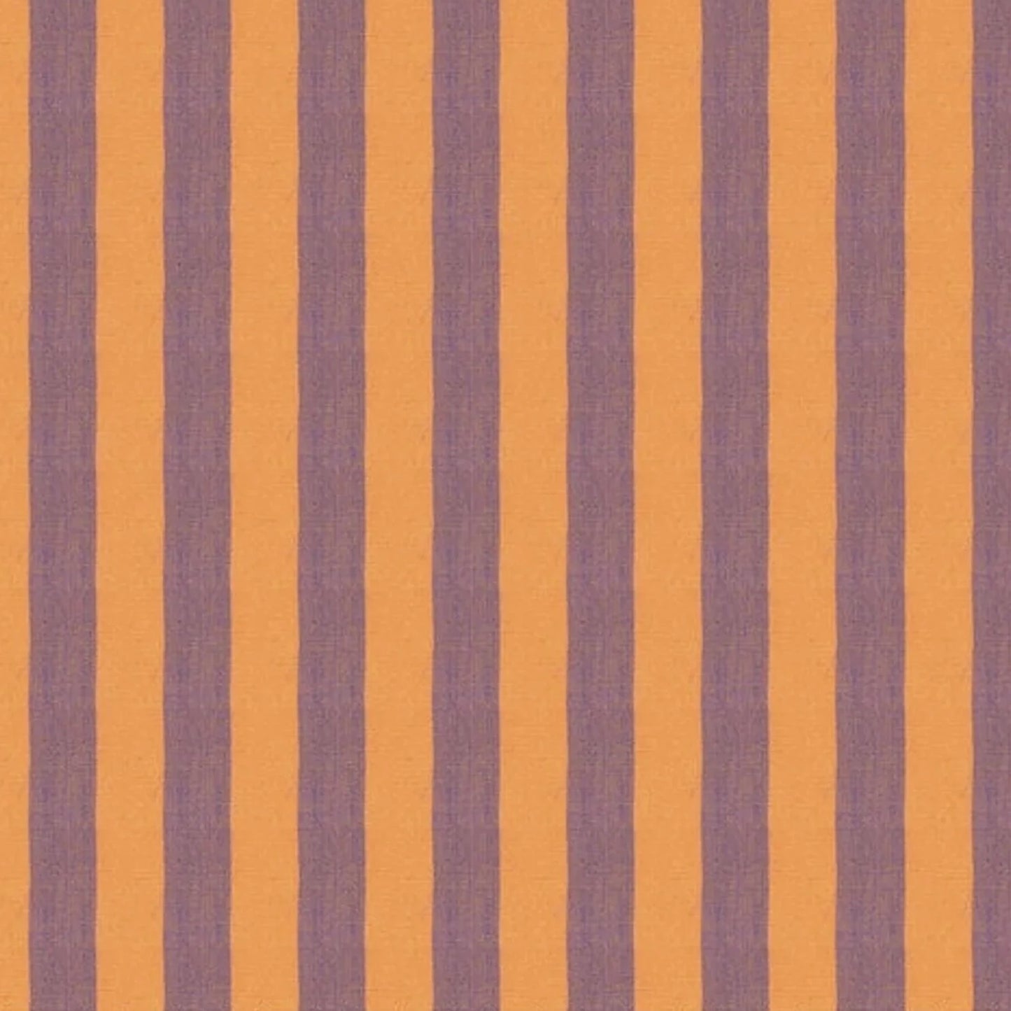 Shot Cotton - Wide Stripe - Cantaloupe