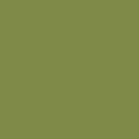 ColorPlay - Olive